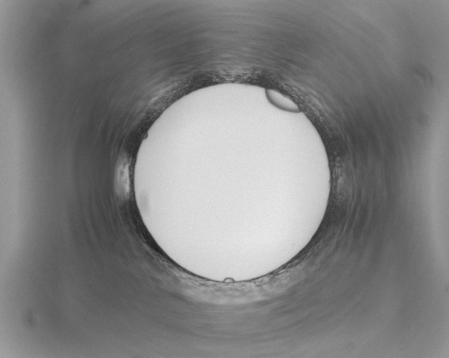 X0000115700042200912101225