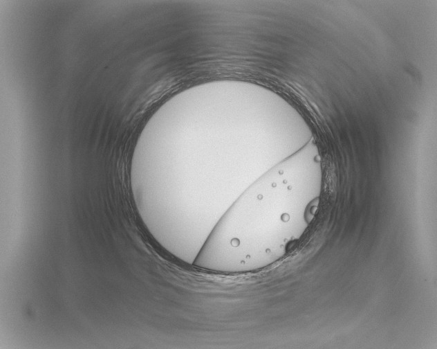 X0000115700044200912101225