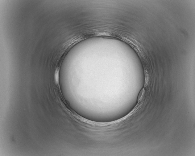 X0000115700047200912101225