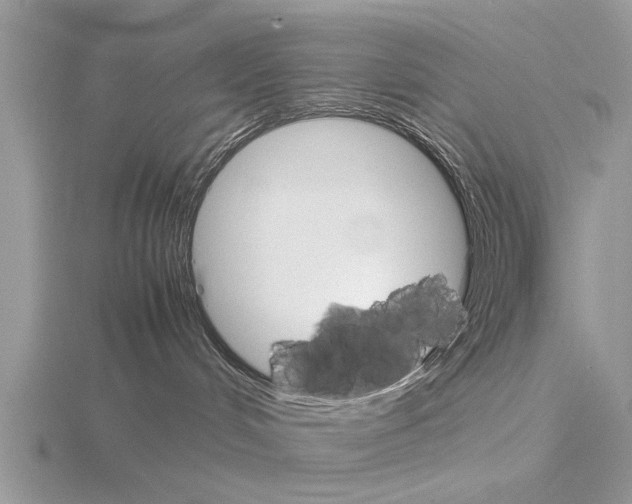 X0000115700048200912101225