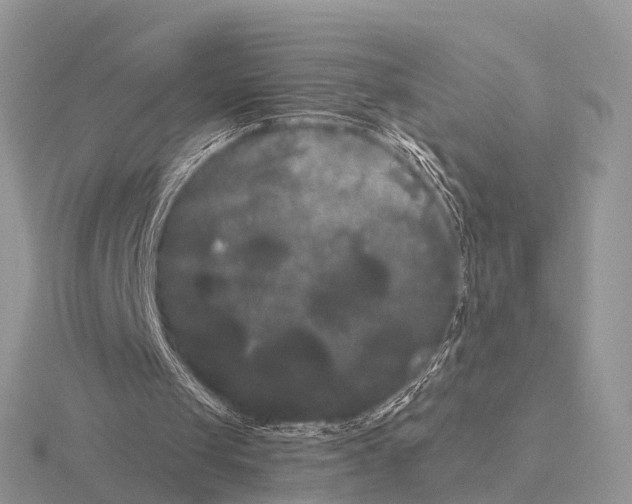 X0000115700049200912101224