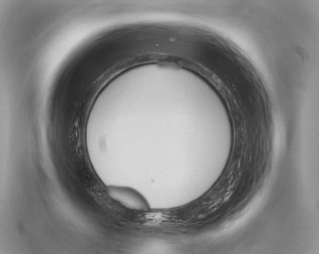 X0000115700050200912101224