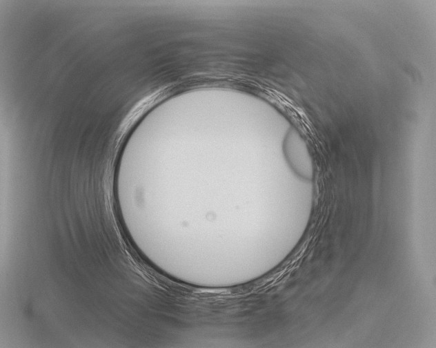 X0000115700051200912101224