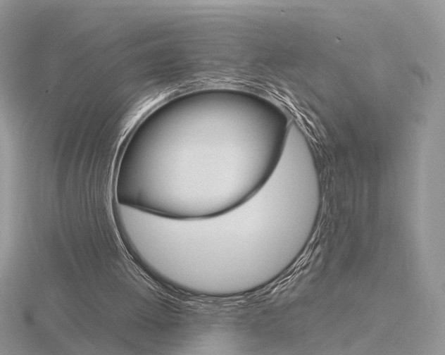 X0000115700052200912101224