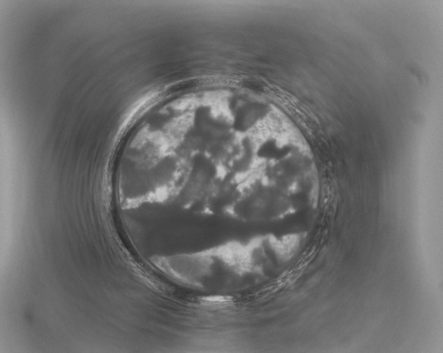 X0000115700053200912101224