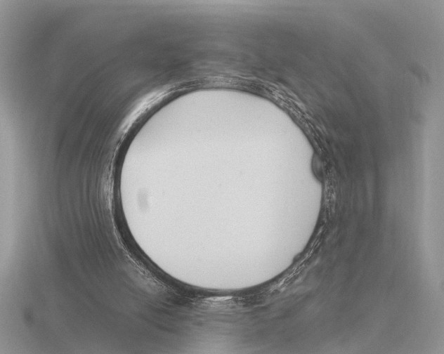 X0000115700054200912101224