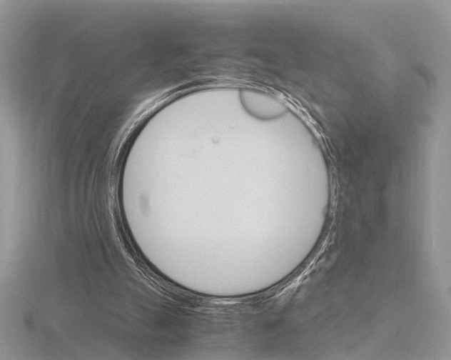 X0000115700055200912101224