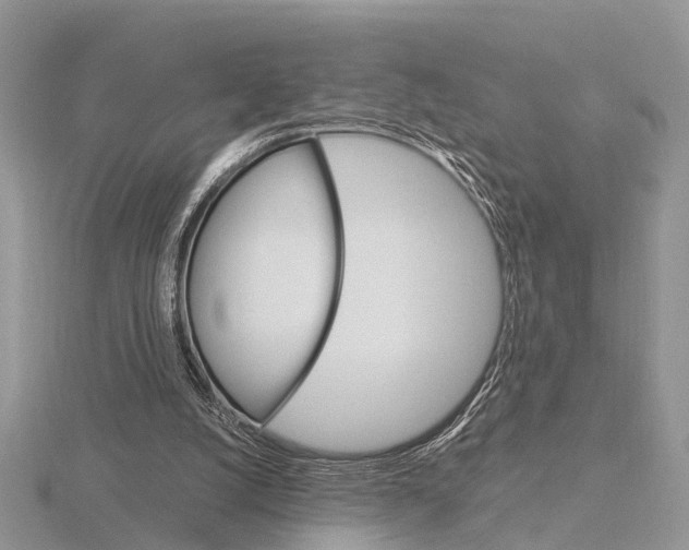 X0000115700056200912101224