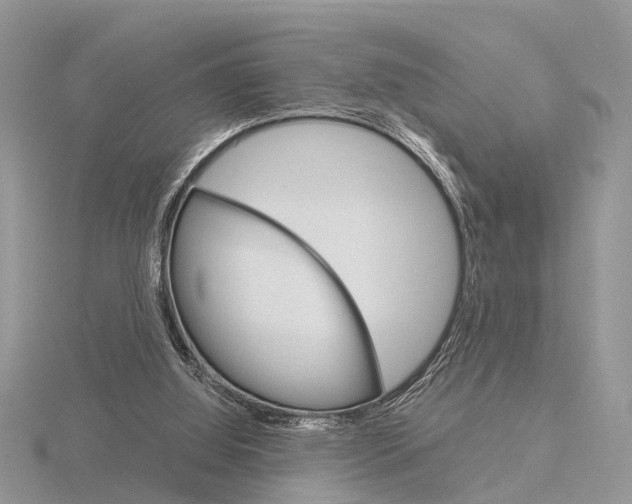 X0000115700060200912101224