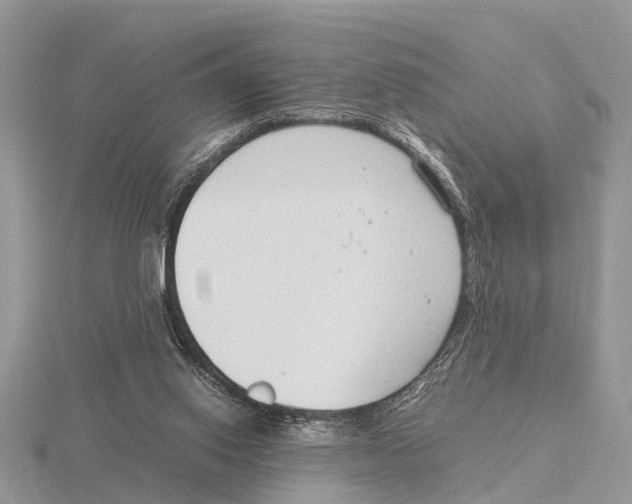 X0000115700062200912101224