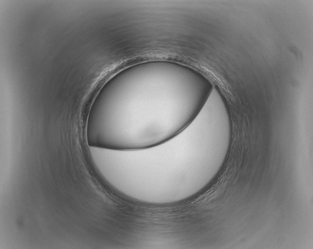 X0000115700064200912101224