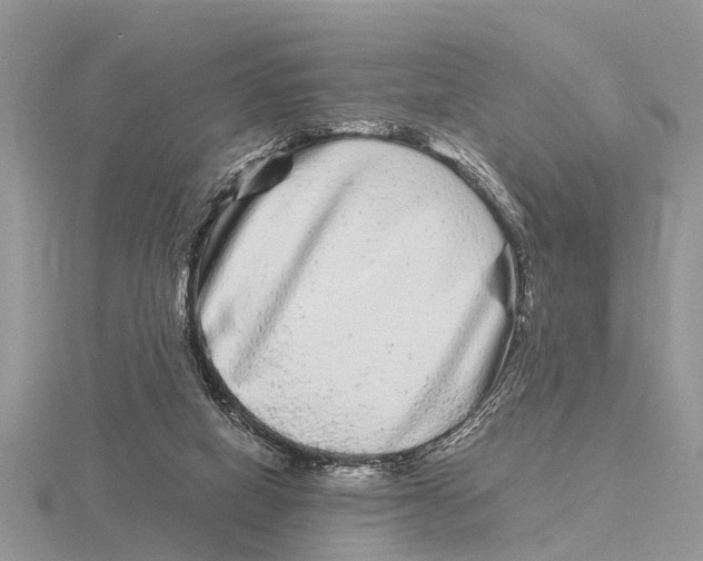 X0000115700066200912101224