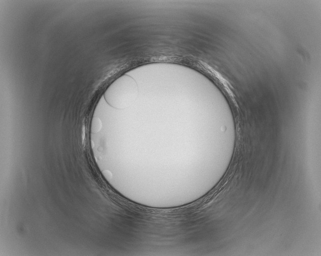 X0000115700067200912101224