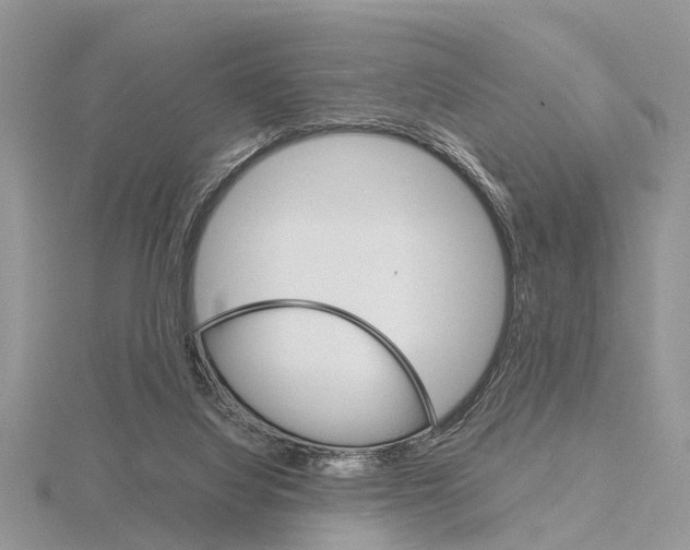 X0000115700068200912101224