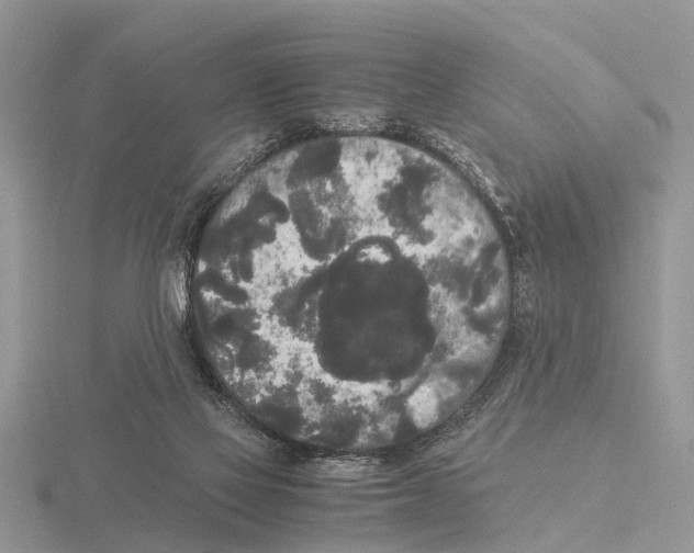 X0000115700069200912101224