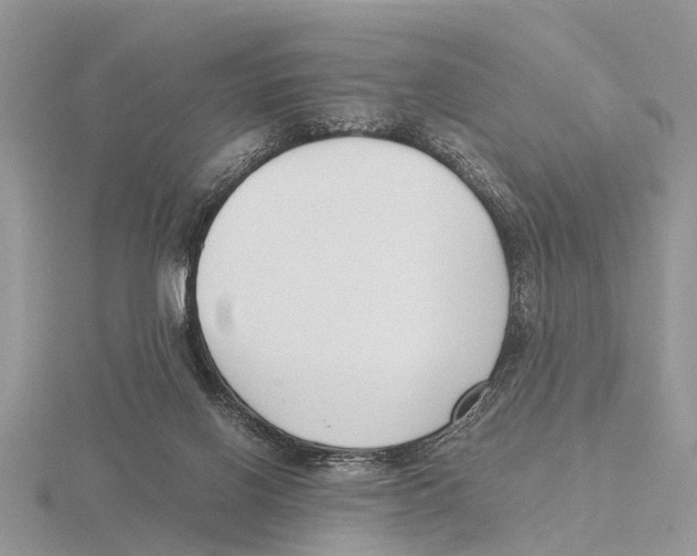 X0000115700070200912101224