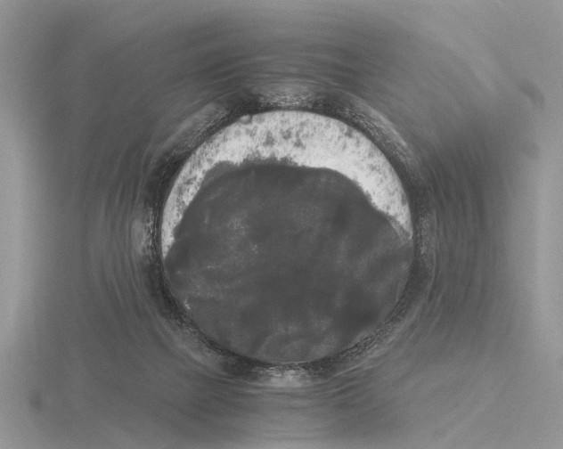 X0000115700073200912101224