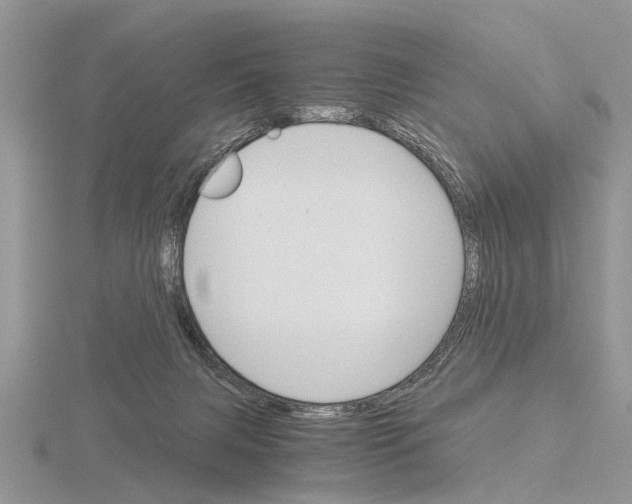 X0000115700079200912101224