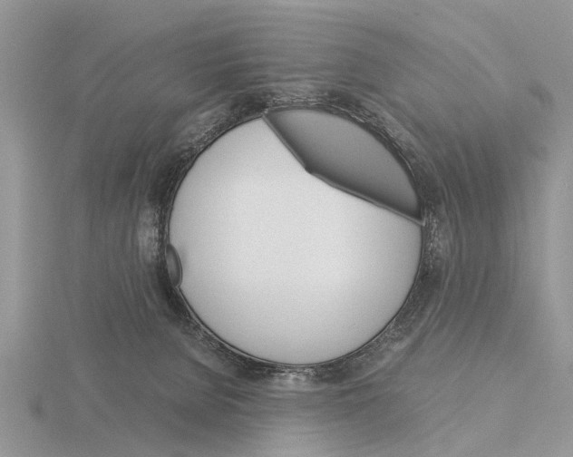 X0000115700080200912101224