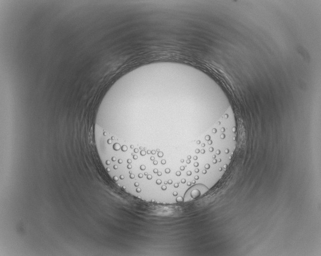 X0000115700083200912101224