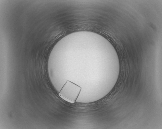 X0000115700084200912101224