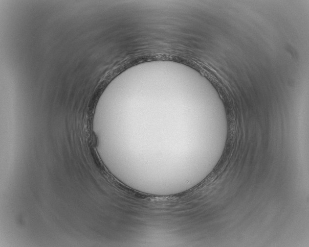 X0000115700088200912101224