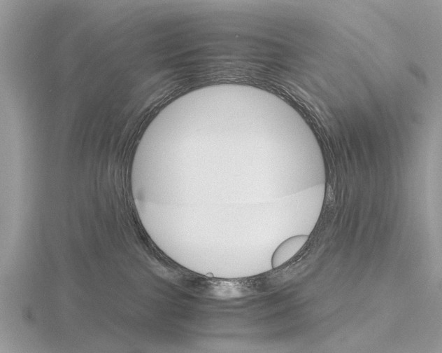 X0000115700091200912101225