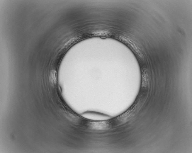 X0000115700093200912101225