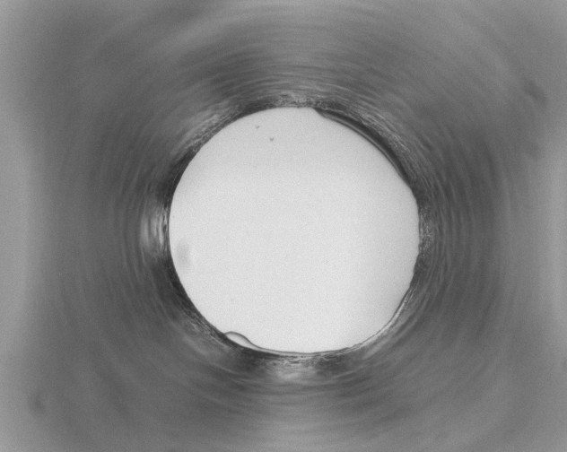 X0000115700094200912101225