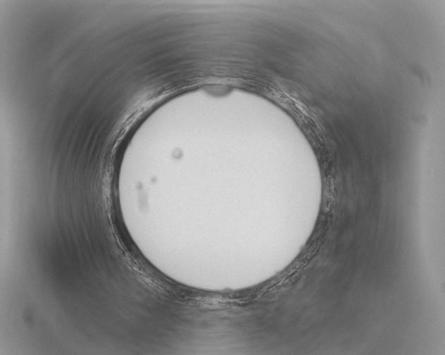 X0000115700098200912101224