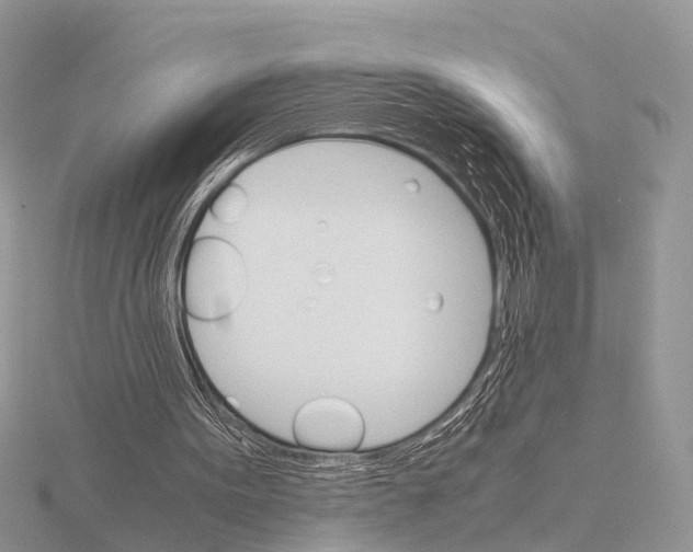 X0000115700099200912101224