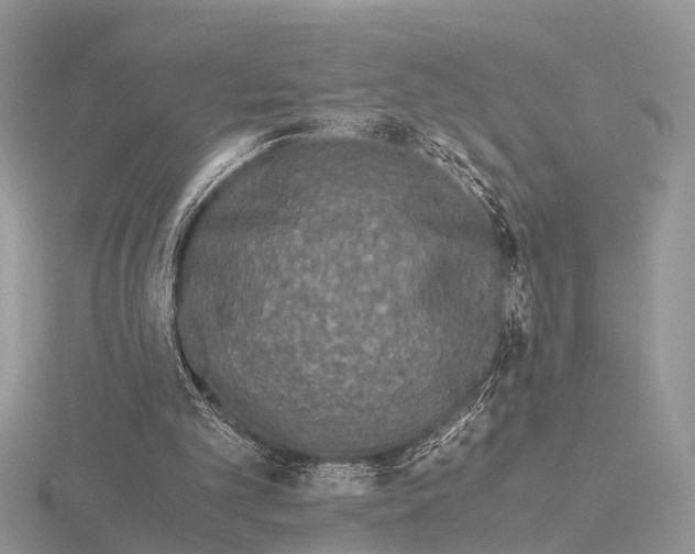 X0000115700101200912101224