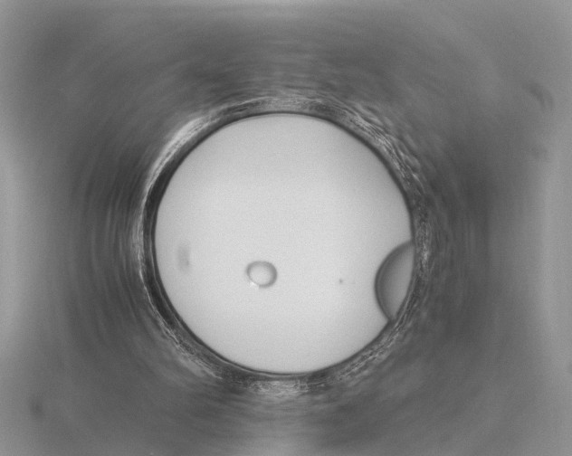 X0000115700102200912101224