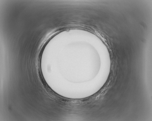 X0000115700103200912101224