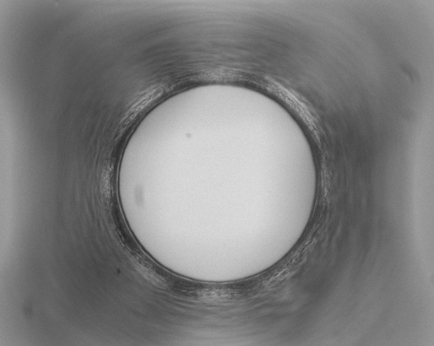 X0000115700105200912101224