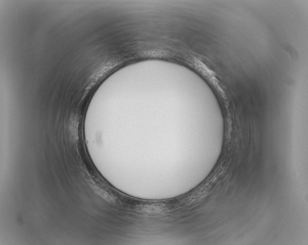 X0000115700106200912101224