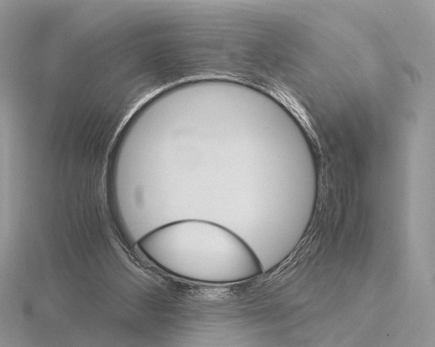 X0000115700108200912101224