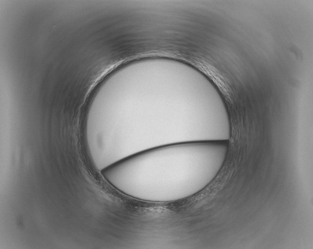 X0000115700112200912101224