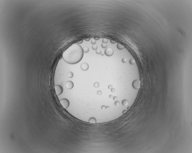 X0000115700115200912101224