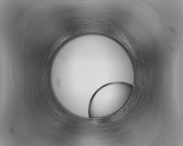 X0000115700116200912101224