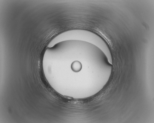 X0000115700117200912101224