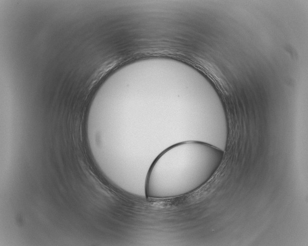 X0000115700120200912101224