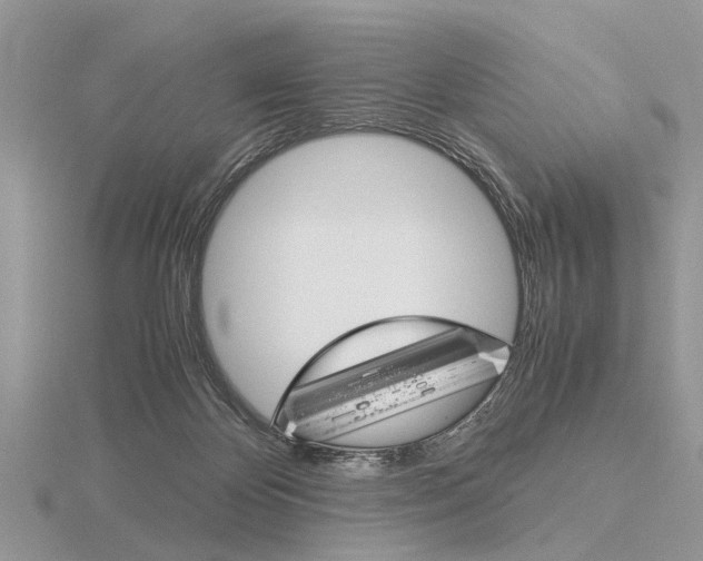 X0000115700124200912101224