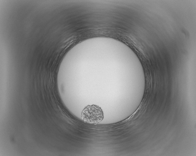 X0000115700128200912101223