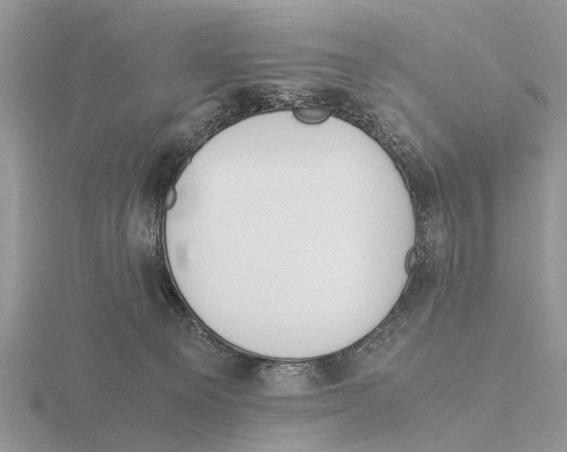 X0000115700129200912101223