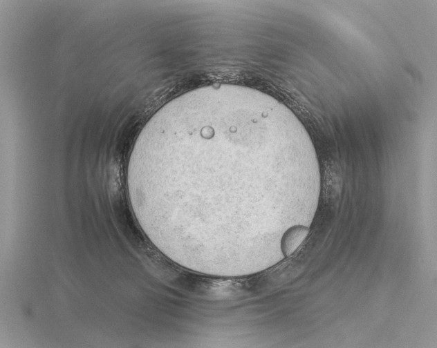 X0000115700130200912101223