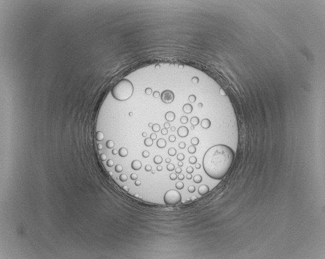 X0000115700131200912101223