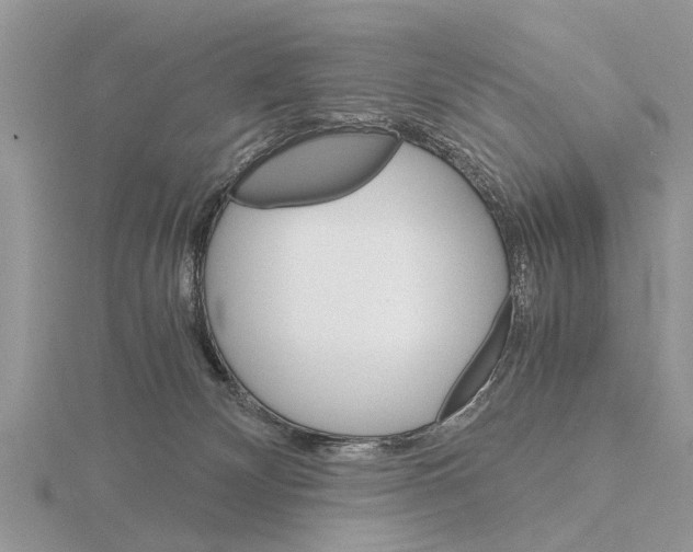 X0000115700132200912101223