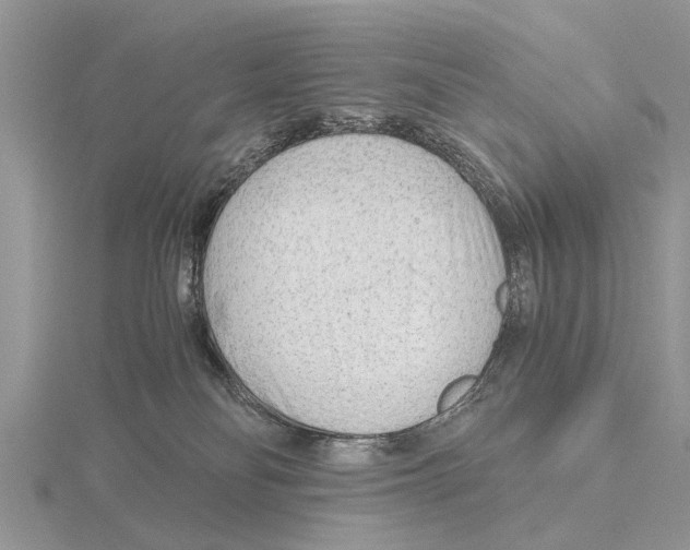 X0000115700134200912101223