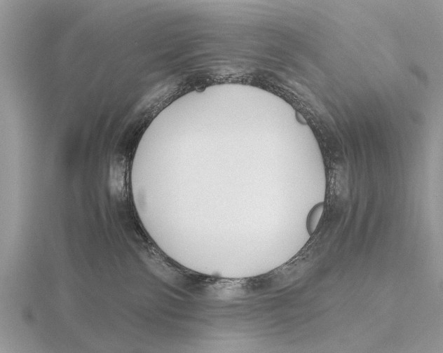 X0000115700138200912101223